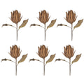 Artificial Dried Protea Flower, Realistic Fake Flowers with Natural-Looking Petal, Long-Lasting & Stylish Faux Flower Bouquet, Fade-Proof & Maintenance-Free Dried Flowers for Decor (6, Brown)