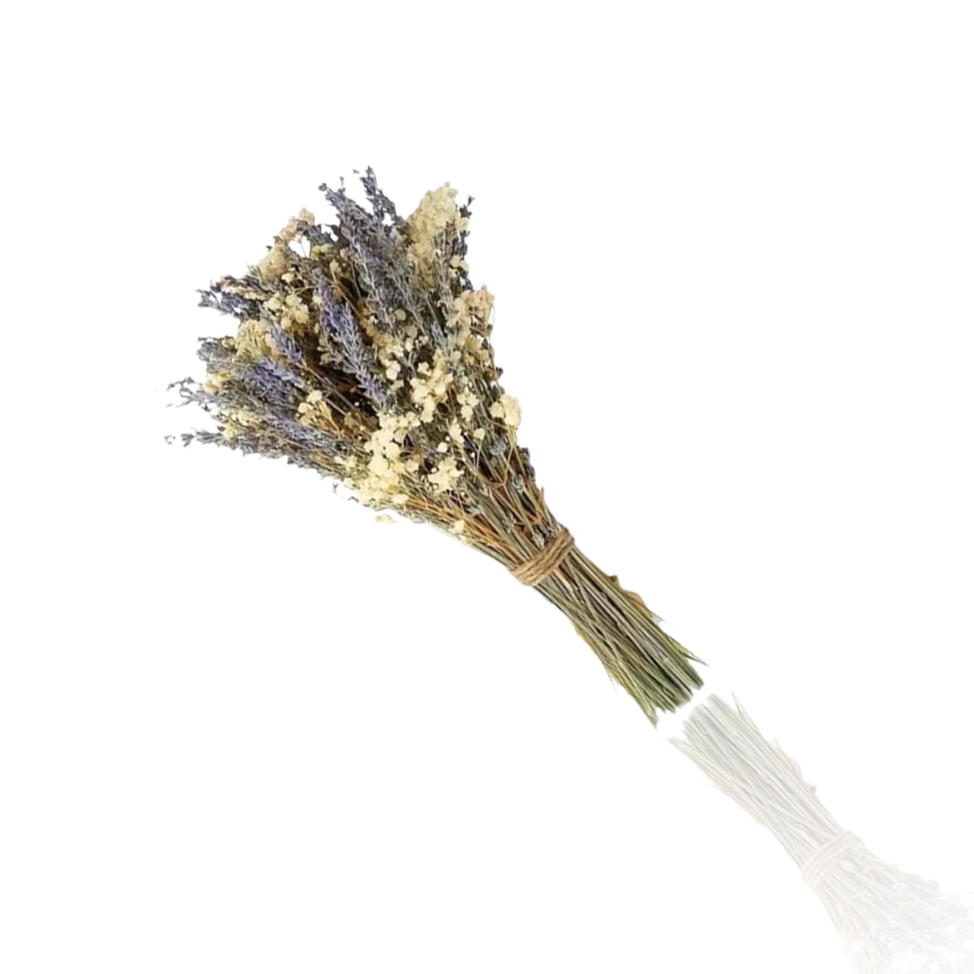 Lavender and Baby's Breath Dried Flower Bouquet Approximately 100 stems of lavender paired with 5 stems of baby's breath good for vase arrangements, home decor, and DIY floral projects