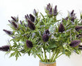 Bluefun Artificial Flowers Artificial Thistle Spray Eryngo Fake Eryngium Foetidum Simulation Sea Holly for Wedding Bouquet Centerpiece Home Decor