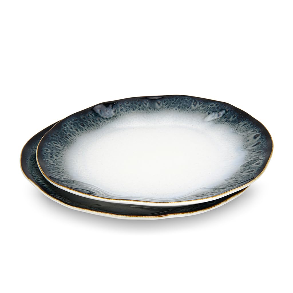 Fissman 2-Piece Dinner Plate 26cm, Porcelain, with a Unique Design for Party, Large Serving Tray for Fish Dish, Steak, Restaurant, Dessert Serves Galactica Series
