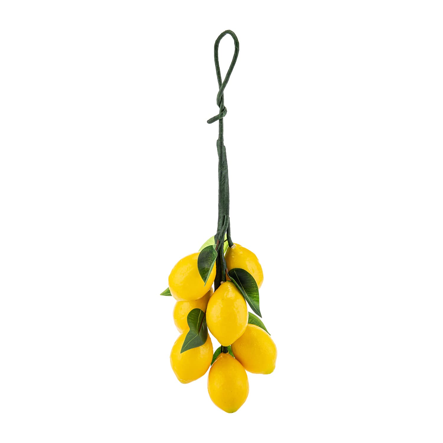 Artificial Fruit