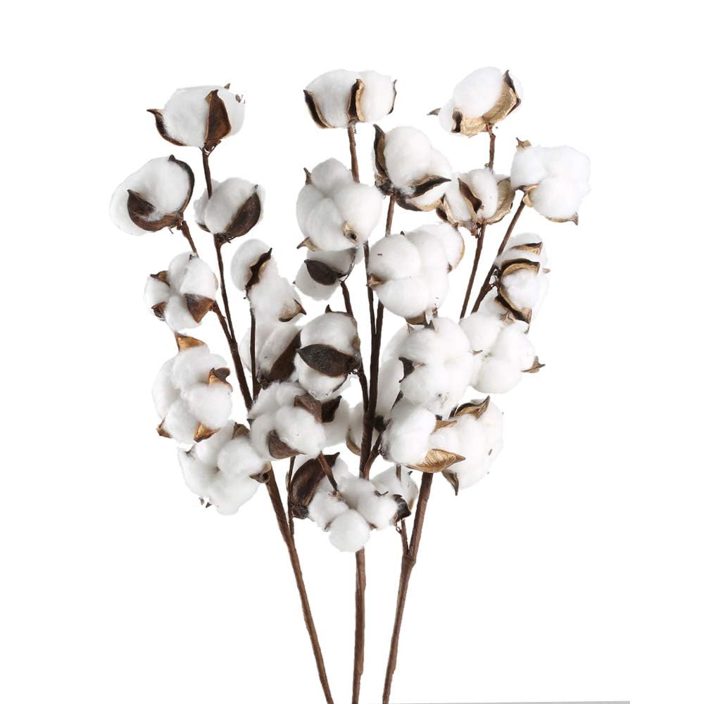 3 Pack Cotton Stems 30 Balls Cotton Flowers Plant Natural Dried Floral Arrangement for Farmhouse Home Table Vase Filler Party DIY Wreath Decor