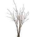Artificial Lifelike Curly Willow Branches Decorative Dried Twigs, 25.9 Inches Fake Bendable Sticks Plastic Vines/Stems for DIY Greenery Plants Craft Vases Home Garden Office Party Decoration (5)