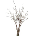 5PCS Artificial Lifelike Curly Willow Branches Decorative Dried Twigs, 25.9 Inches Fake Bendable Sticks Plastic Vines/Stems for DIY Greenery Plants Craft Vases Home Garden Office Party Decoration