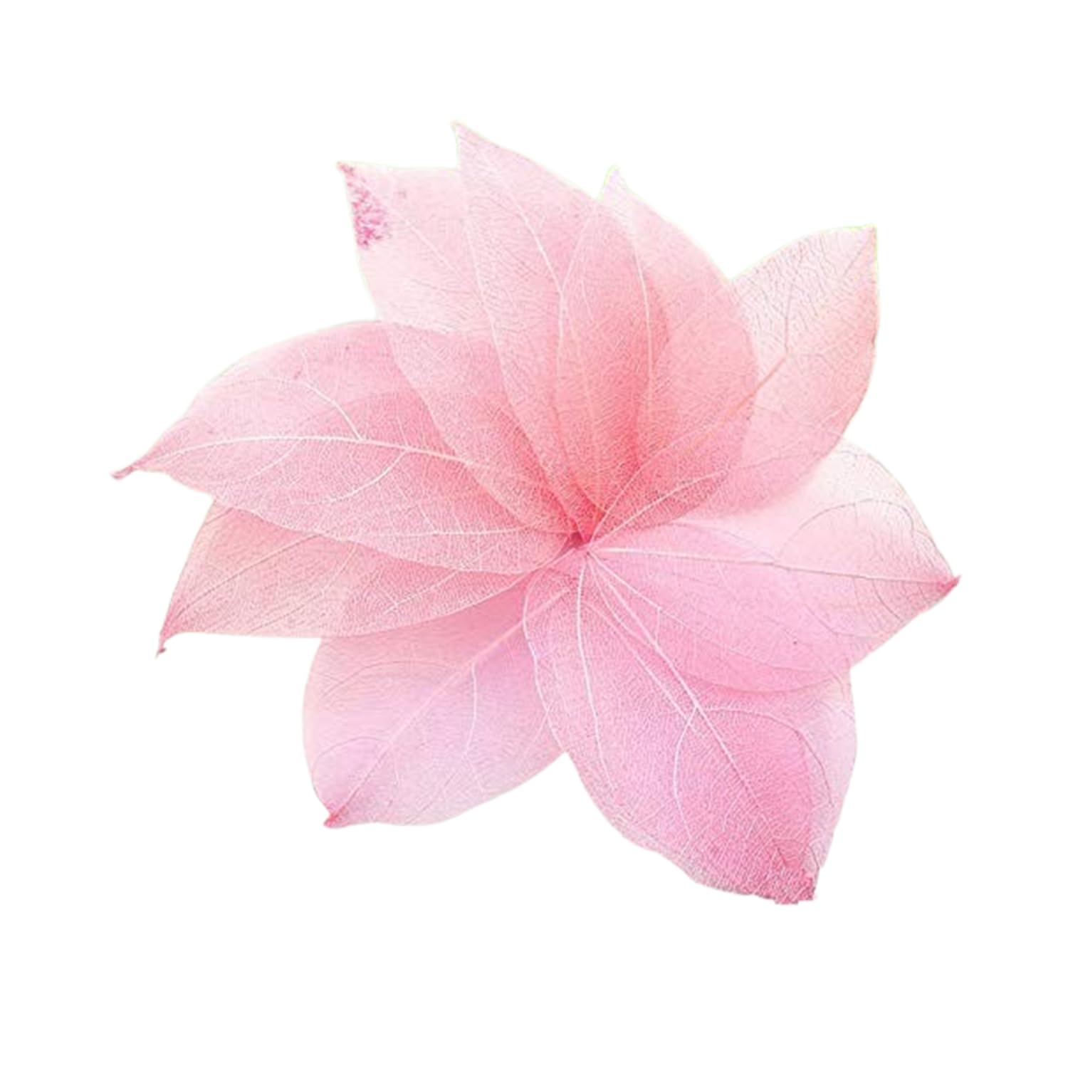 Natural Real Dried Artificial Flora Leaves for Art Craft (Pack of 50, Baby Pink)