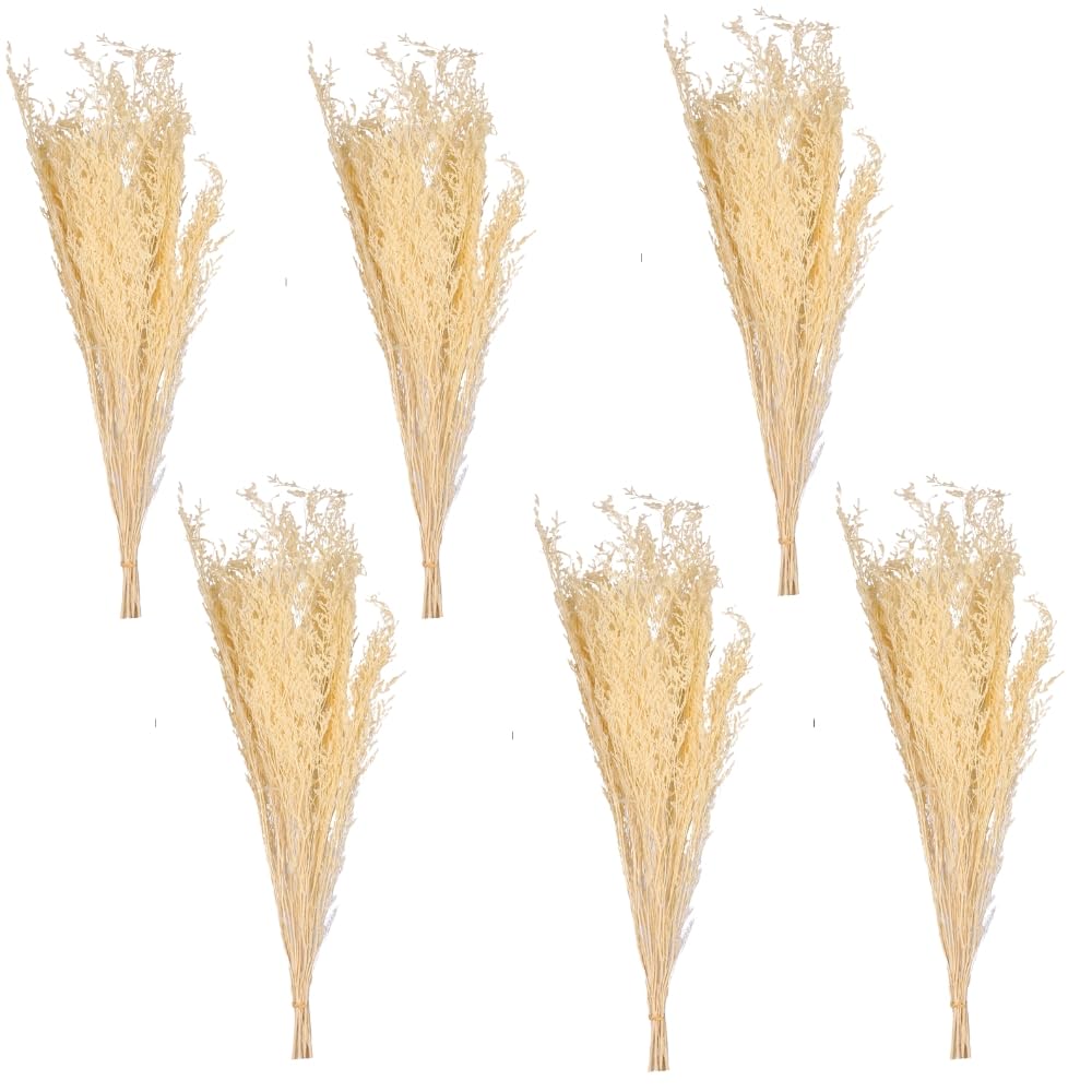 Artificial Gypsophila (Baby's Breath) Flower – 75cm Faux Floral Spray for Home Decor, Weddings, & Arrangements | Realistic & Long-Lasting (6, Cream 2)