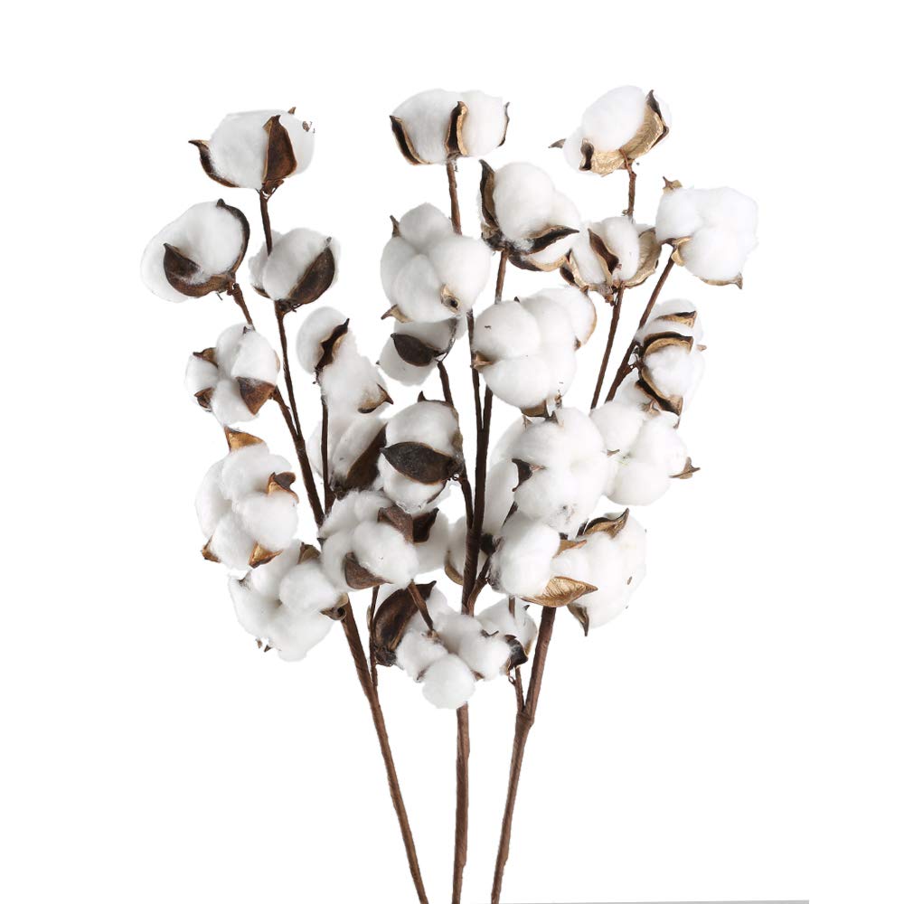 3 Pack Cotton Stems 30 Balls Cotton Flowers Plant Natural Dried Floral Arrangement for Farmhouse Home Table Vase Filler Party DIY Wreath Decor (22 Inch)