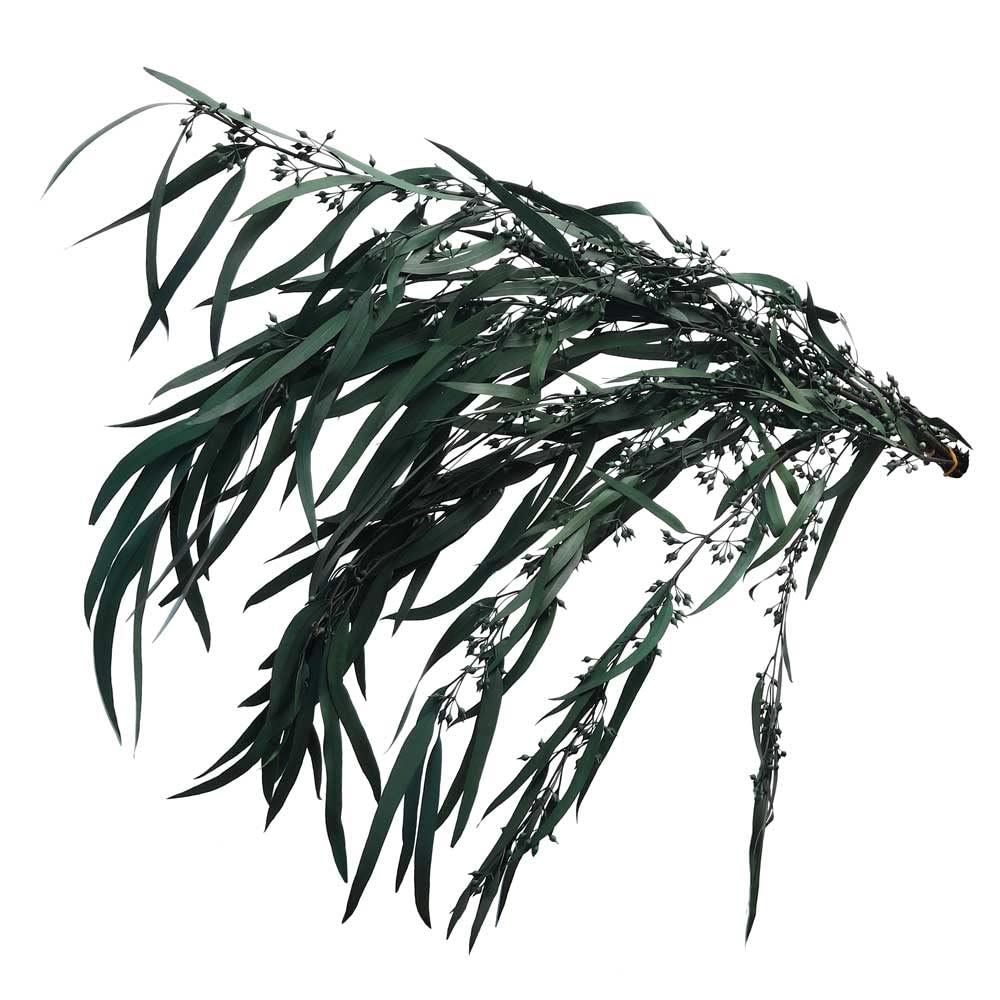 Natural Dried Eucalyptus Leaves Events Festival Ornaments Dried Flowers For Decoration - Preserved Flowers Bouquet Arrangement – Natural Plants Leaf Spray - Dry Flowers For Vase Filler Decor