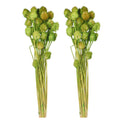 Artificial Dried Flower Bunch, 65 cm Tall Decorative Flower Bouquet with Vibrant Pom Pom Floral Stems, Everlasting, Fade-Proof &, Maintenance-Free Fake Flower for Home Event Decor (2, Green)