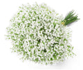 Artificial Baby's Breath Flowers (6 Stems), White Faux Gypsophila Bouquet with Real Touch - for DIY Wedding Decor, Bridal Shower, Party Arrangements, Wreath Making, Home Centerpiece