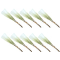 10Pcs Natural Dried Pampas Grass Flower Arrangements Home Decor Dried Flowers Bouquet for Wedding Floral Arrangements Light Green