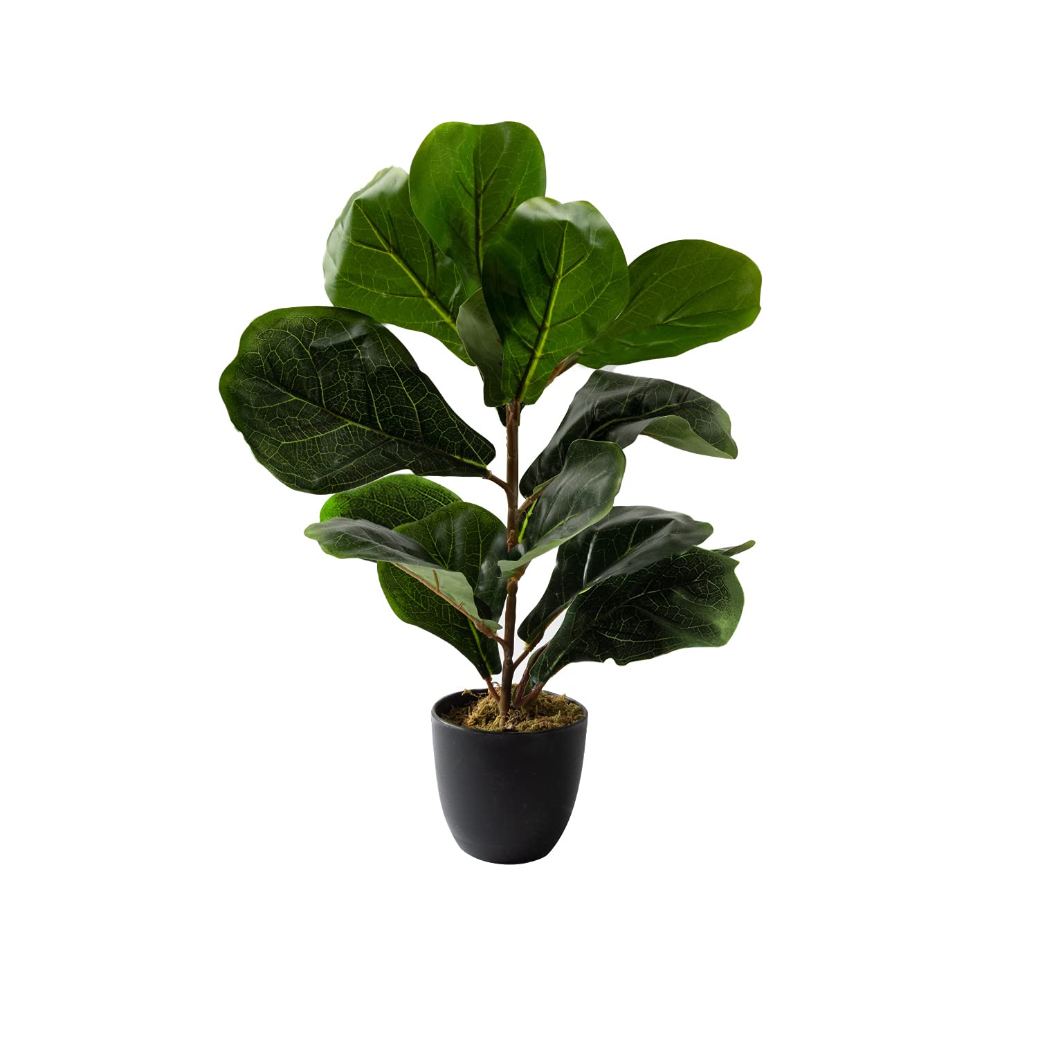 Artificial Fiddle Leaf Plant, Life-Like Ficus Faux Fig Tree, Dark Green in Decorative Planter - 21" Tall