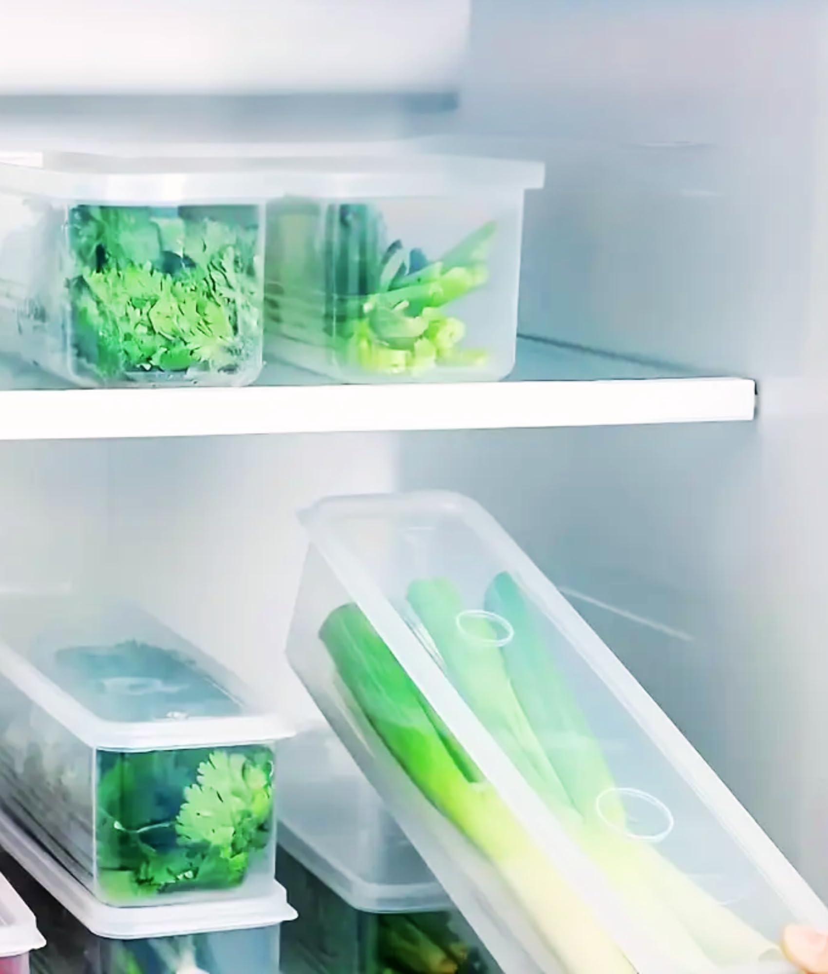 4-Pack Airtight Food Storage Containers – BPA-Free Plastic Bins with Lids for Fridge or Pantry – Herb Keeper for Cilantro, Green Onions, Mint, or Dry Food Like Pasta, Snacks, Grains.