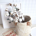3Pc Naturally Dried Cotton Stems Farmhouse Artificial Flower Filler Floral Decor