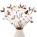 20pcs Cotton Stems, Fake Cotton Flowers Dried Cotton Picks Stalks Plants, Artificial Cotton Floral Stems Faux Farmhouse Decorations for Vase Home Decor