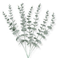 8 Pcs Artificial Eucalyptus Stem Faux Eucalyptus Silk Greenery Leaves Fake Silver Dollar Eucalyptus Branches Plants for Wedding Party Bouquet Centerpiece Home Decor Indoor (Green)