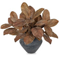 Artificial Magnolia Leaves Stems 3 Pack 22in Coffee Brown Fake Magnolia Branches for Vase Fall Leaves Stems for Home Room Arrangements Centerpieces Thanksgiving Décor (Vase Not Included)