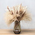 Natural Dried Pampas Grass Bouquet : Brown White Reed Pampas Floral Arrangements Decorations for Home Room Office Party Decor (60PCS)
