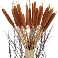 40 Pcs Dried Natural Cattails Jumbo Dried Flowers for Floral Arrangement Wedding Home Decoration
