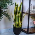 Artificial Cactus Plant Cacti Fake Plant with Plastic Pot for Home Indoor/Outdoor Decoration – Artificial Plants (69cm)