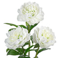 3PCS Faux Peony Flower Stems, 25.5" Artificial Peony Flowers Realistic Fake Flowers for Vase Arrangements Wedding Centerpieces Decoration(White)
