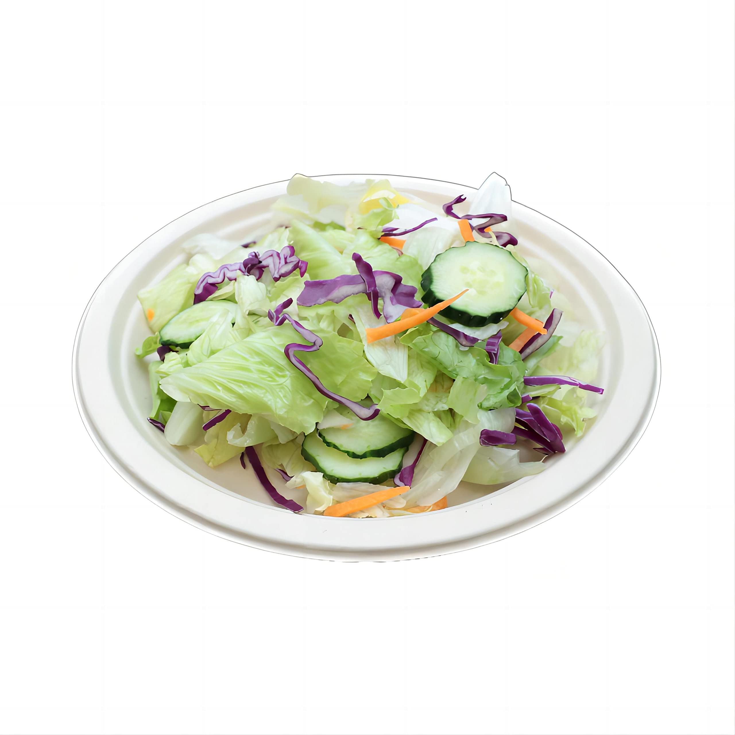 [9 Inch 50Pcs] Disposable Paper Plates, Microwavable and Freezable, Compostable and Biodegradable Dinner Plates, Strong and Large