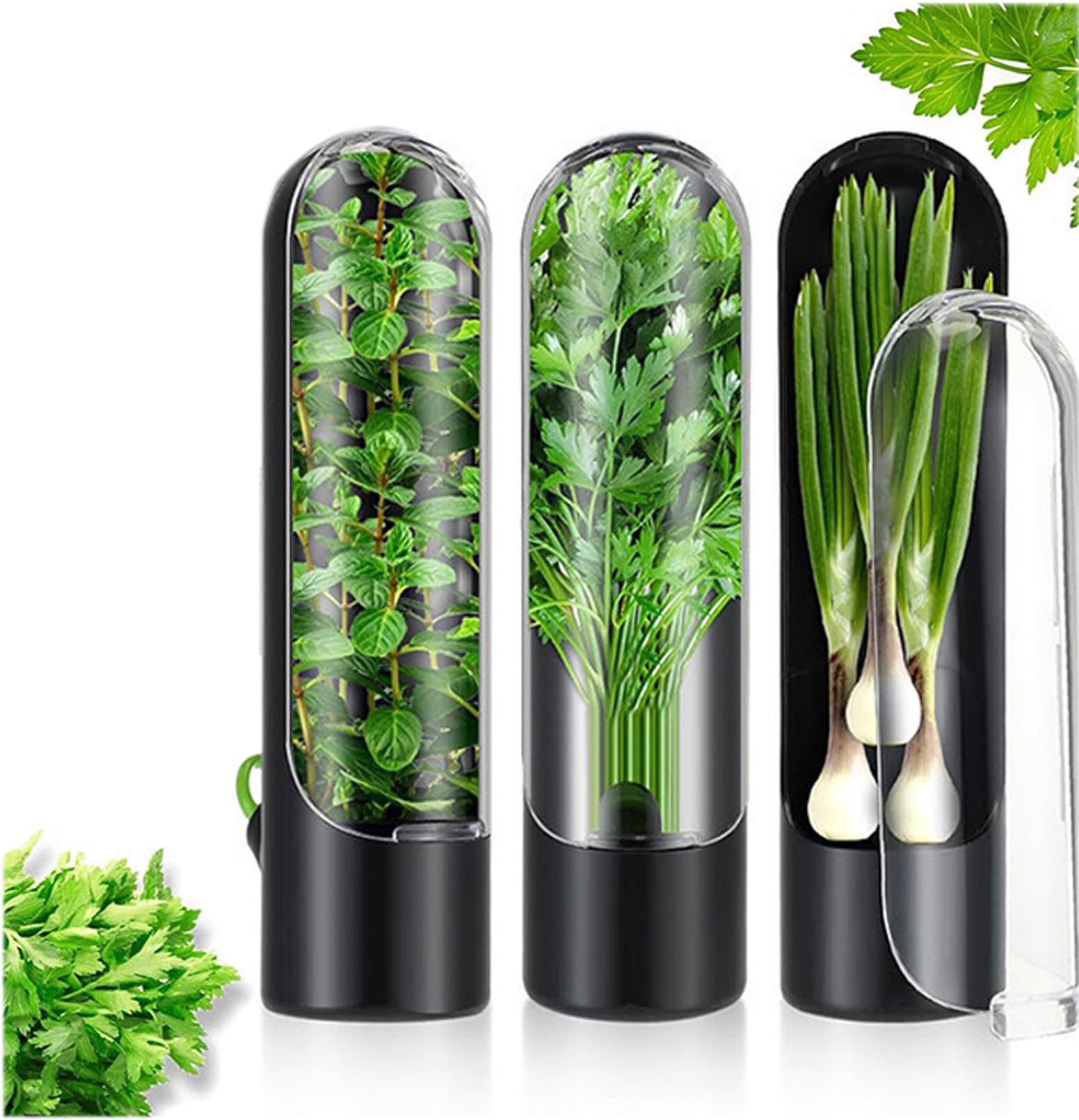 U-HOOME Refrigerator Herb Keeper,Kitchen Fresh Herb Saver,Vegetable Preservation Bottle Containers,Herb Storage Container for Cilantro,Mint,Parsley,Keeps Greens Fresh for 2-3 weeks (Black-3pcs)