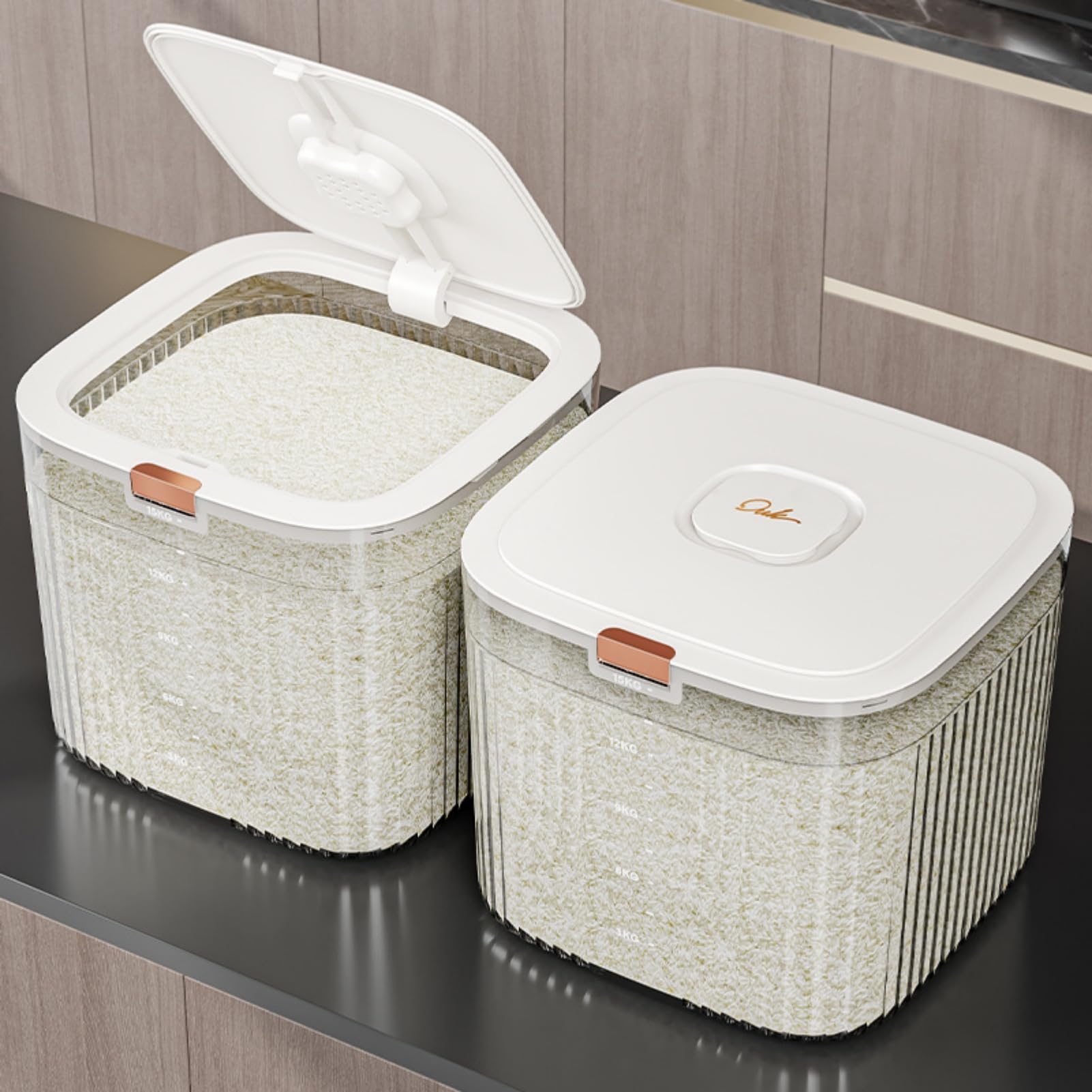 Rice Storage Container, Airtight Food Storage Container with Lid, Large Food Container, Dry Food Storage, Pet Food Dispenser, Kitchen Storage Containers for Rice Grains Cereal Flour Soybean (5kg)
