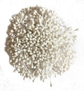 1800 Pcs 1.5mm Mini Pearl Double Heads Flower Stamen Pistil Handmade Artificial Flowers Wedding Party Home Decoration DIY Christmas Scrapbook Accessories White