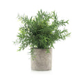 Mini Potted Plastic Fake Green Plant Home Decor (Bamboo Leaves)