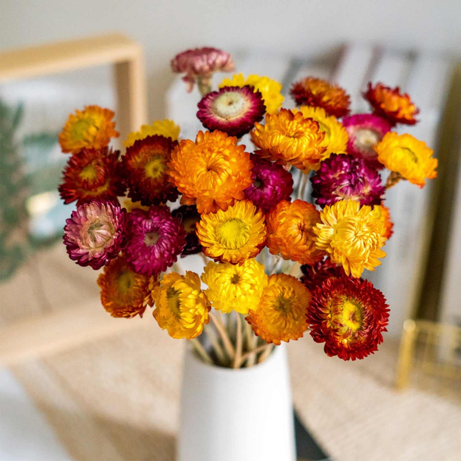 Dried Flowers, 36PCS Bouquet Natural Daisy, Multicolor Daisies Artificial Sunflowers, Dry Flower Arrangements for Wedding, Farmhouse Table Vase Decor, Home Office Party Decoration (yellow)