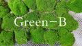 Preserved Pole Moss Pillow Bun Cushion Natural Green
