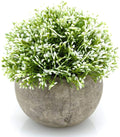 (White) - Mini Plastic Artificial Plants in Pots for Home Decor (White, Green)