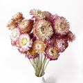 100% Natural Daisy Flowers, Dried Flower Bouquets-30Pcs Pink Daisies Chrysanthemums, 17 Inch Arrangements for Vase, Home Decoration Photo Props Parties and Weddings (Daisy Pink)