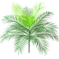 Artificial Tropical Palm Leaf Bush Artificial Plant in Green 1 Pcs Plastic Areca Palm Plant 15 Leaves 63 cm Tall for Tropical Greenery Accent Floral Arrangement