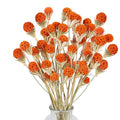 Fall Dried Flower, 40pcs Craspedia Billy Button Balls Flowers Orange Dried Flowers Bulk for Autumn Home Vase Kitchen DIY Wedding Table Decor