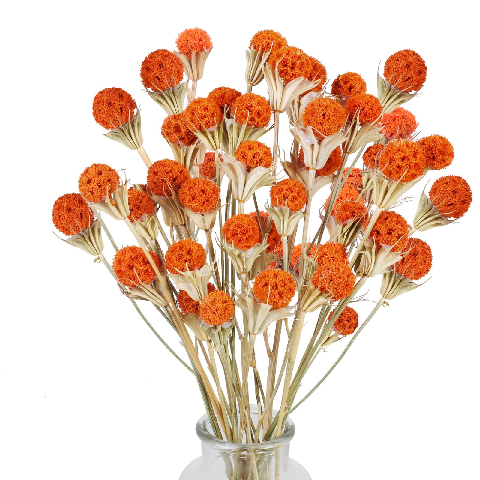 Fall Dried Flower, 40pcs Craspedia Billy Button Balls Flowers Orange Dried Flowers Bulk for Autumn Home Vase Kitchen DIY Wedding Table Decor