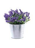 Artificial Plant With Pot 20X11X20Cm Purple