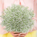 12 Pcs Artificial Babys Breath Flowers, Gypsophila Real Touch Flowers for DIY Wedding Bouquets, Crown, Party, Hotel, Table, Home Decoration (White)