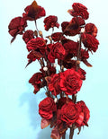 Artificial Large Flora Red Rossi Handmade Dry Flower Sticks Bunch - Red Brown
